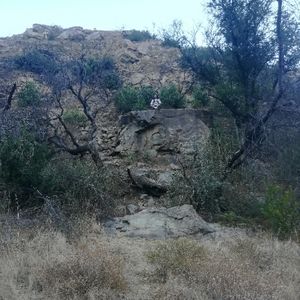 Meet your Posher, Ivan